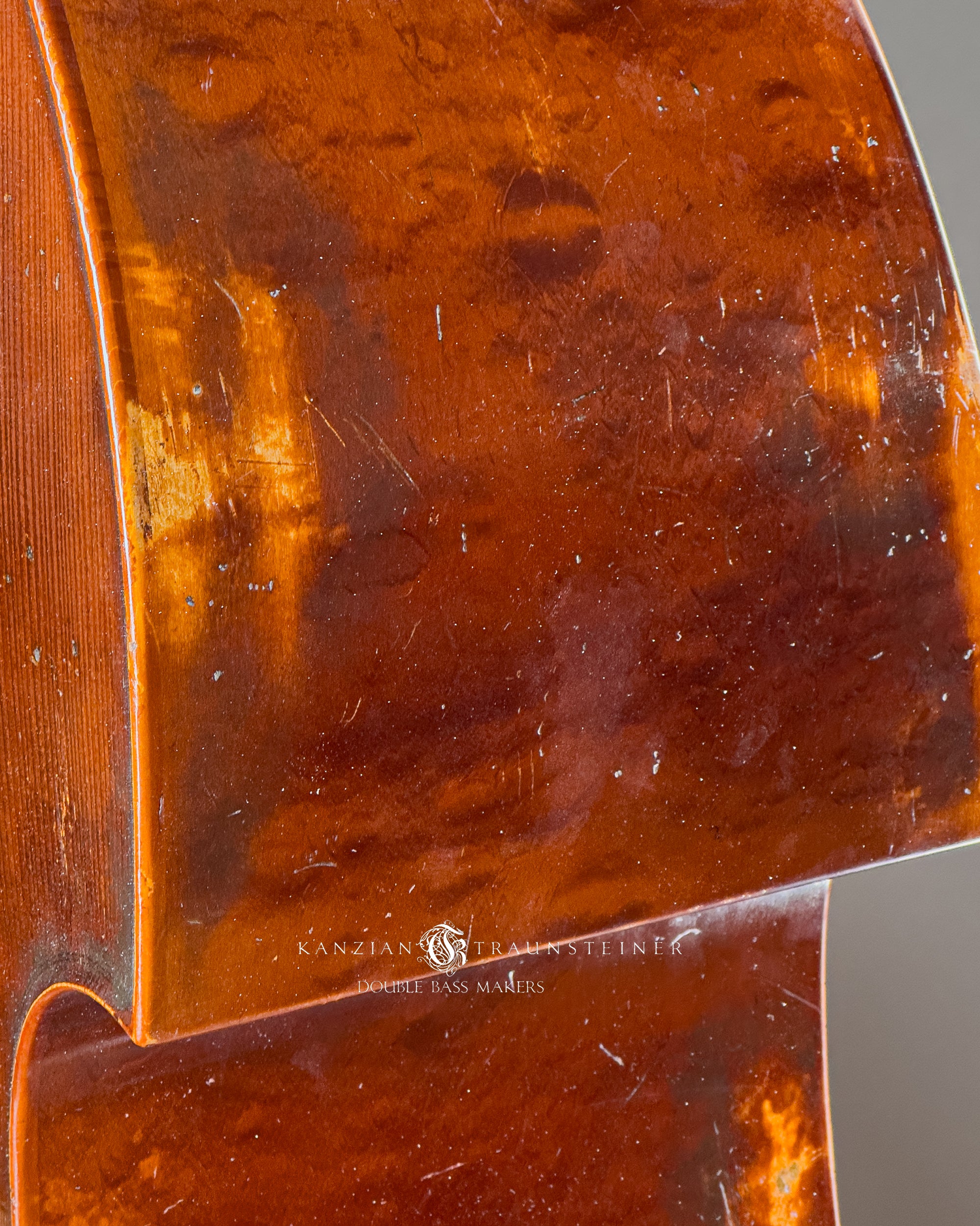 Kanzian & Traunsteiner 10th anniversary double bass: shoulder detail