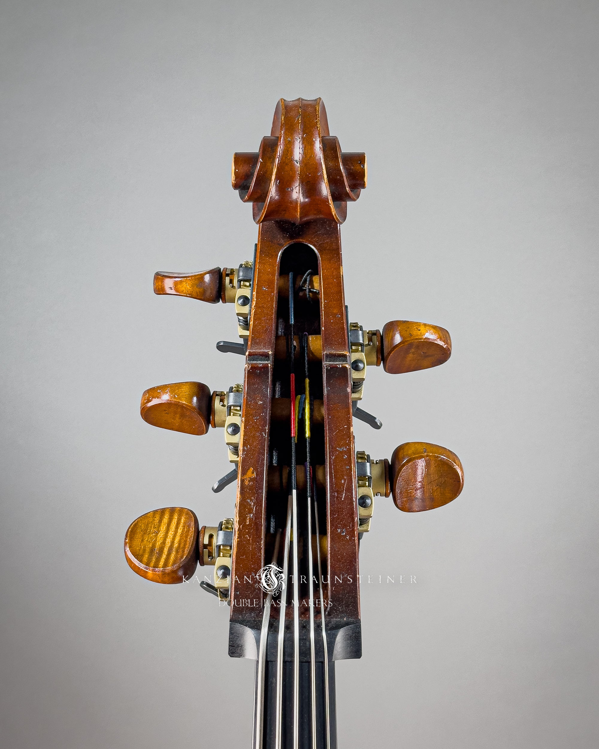 Kanzian & Traunsteiner 10th anniversary double bass: scroll front