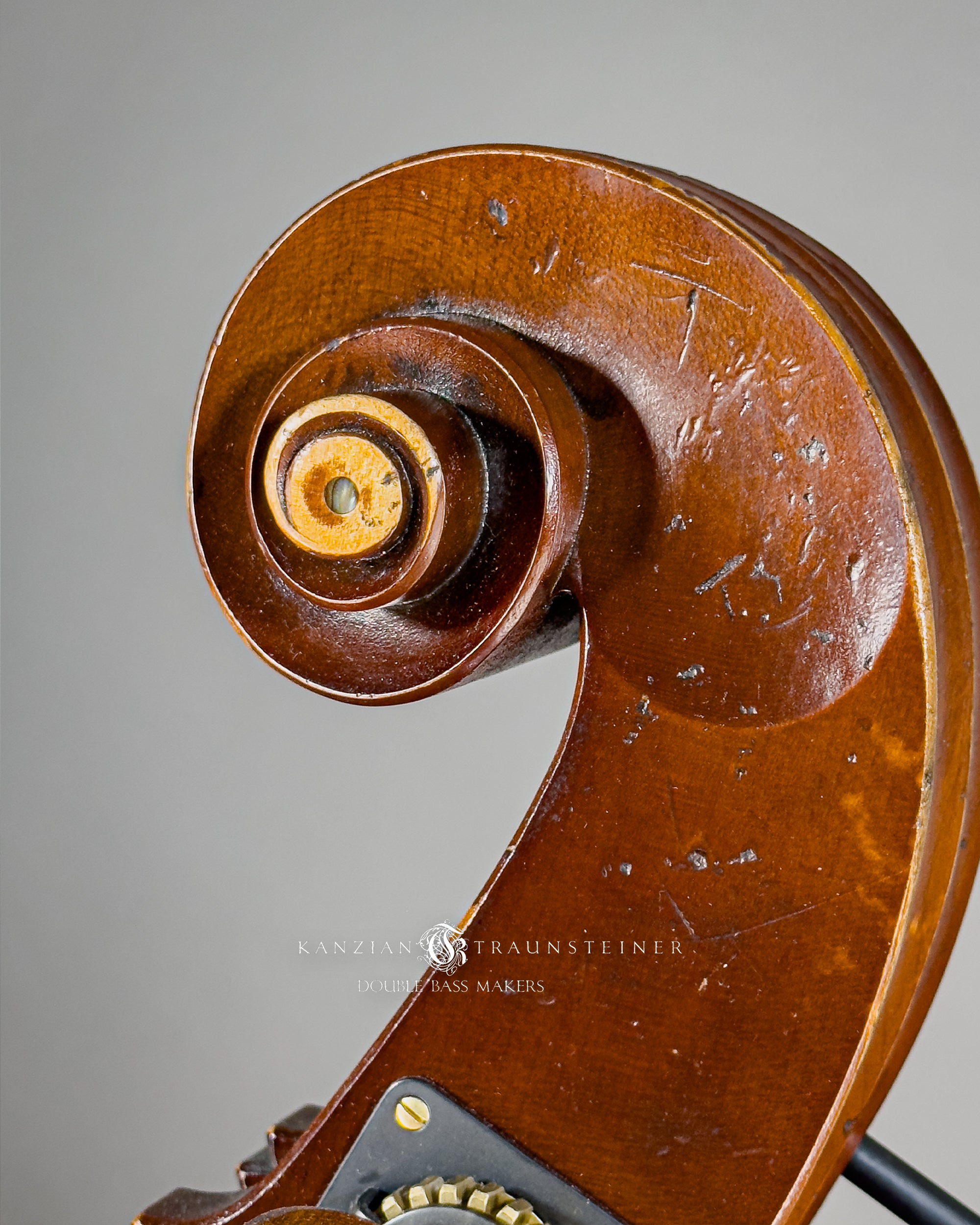 Kanzian & Traunsteiner 10th anniversary double bass: scroll detail view
