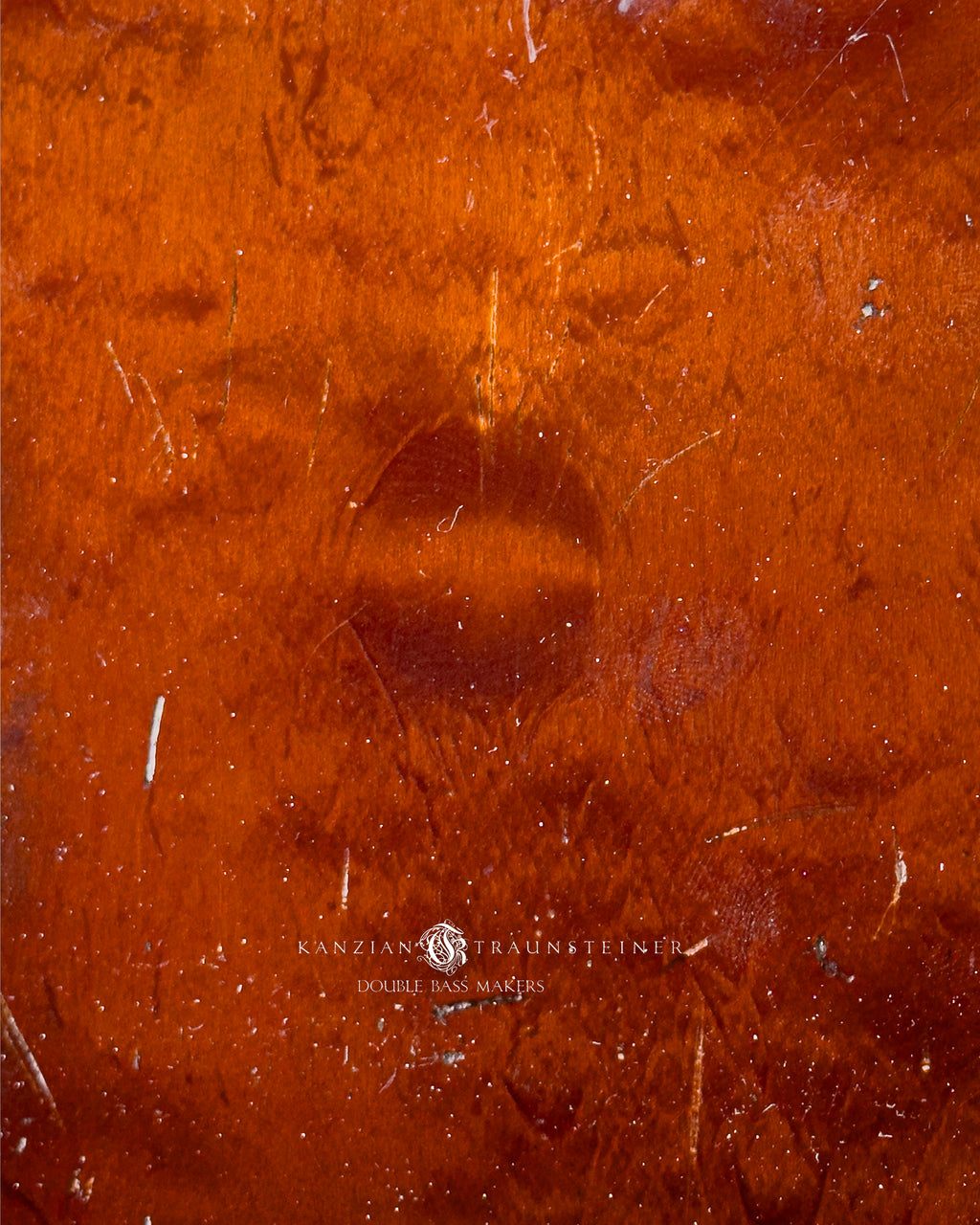 Kanzian & Traunsteiner 10th anniversary double bass - wood detail