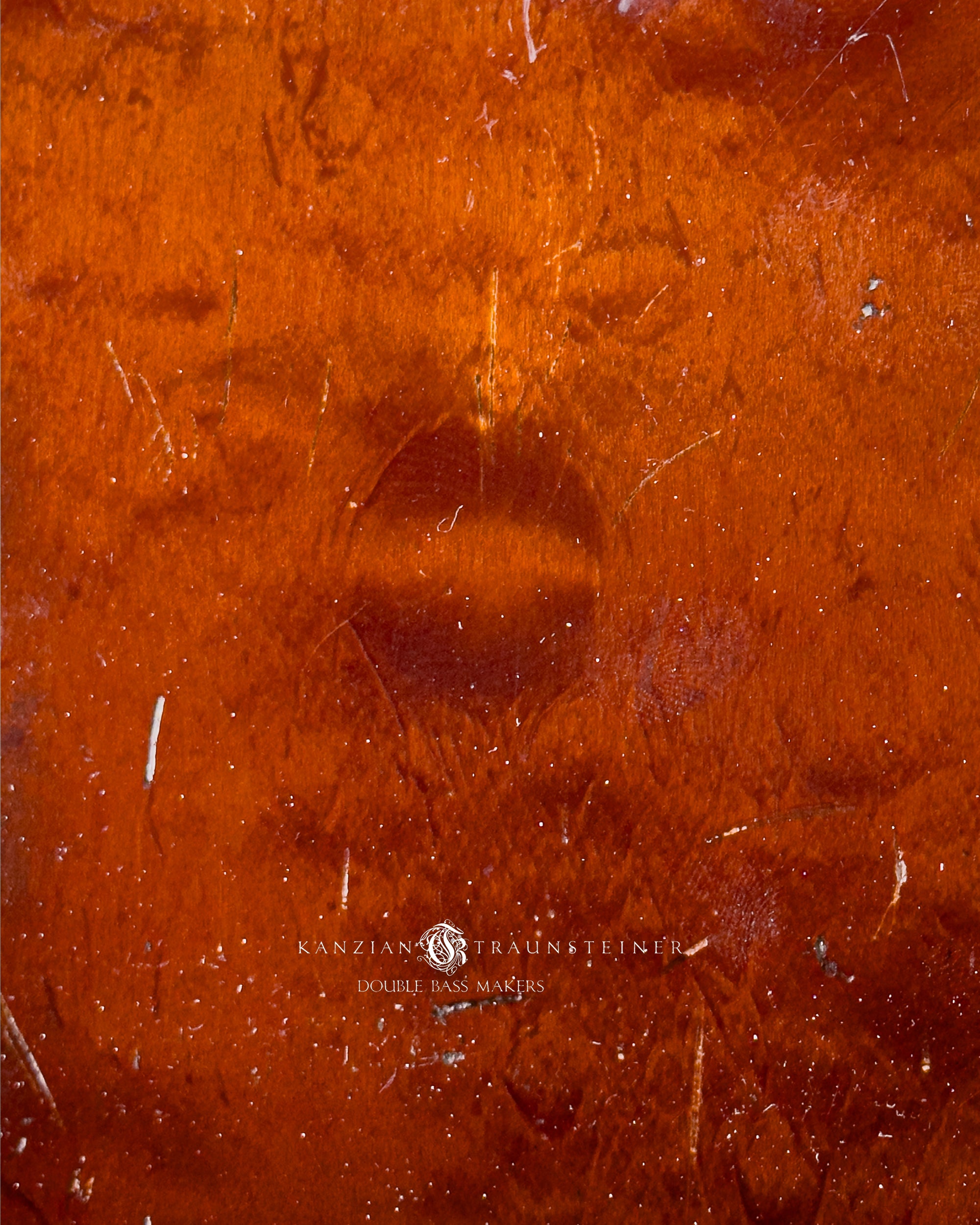 Kanzian & Traunsteiner 10th anniversary double bass - wood detail