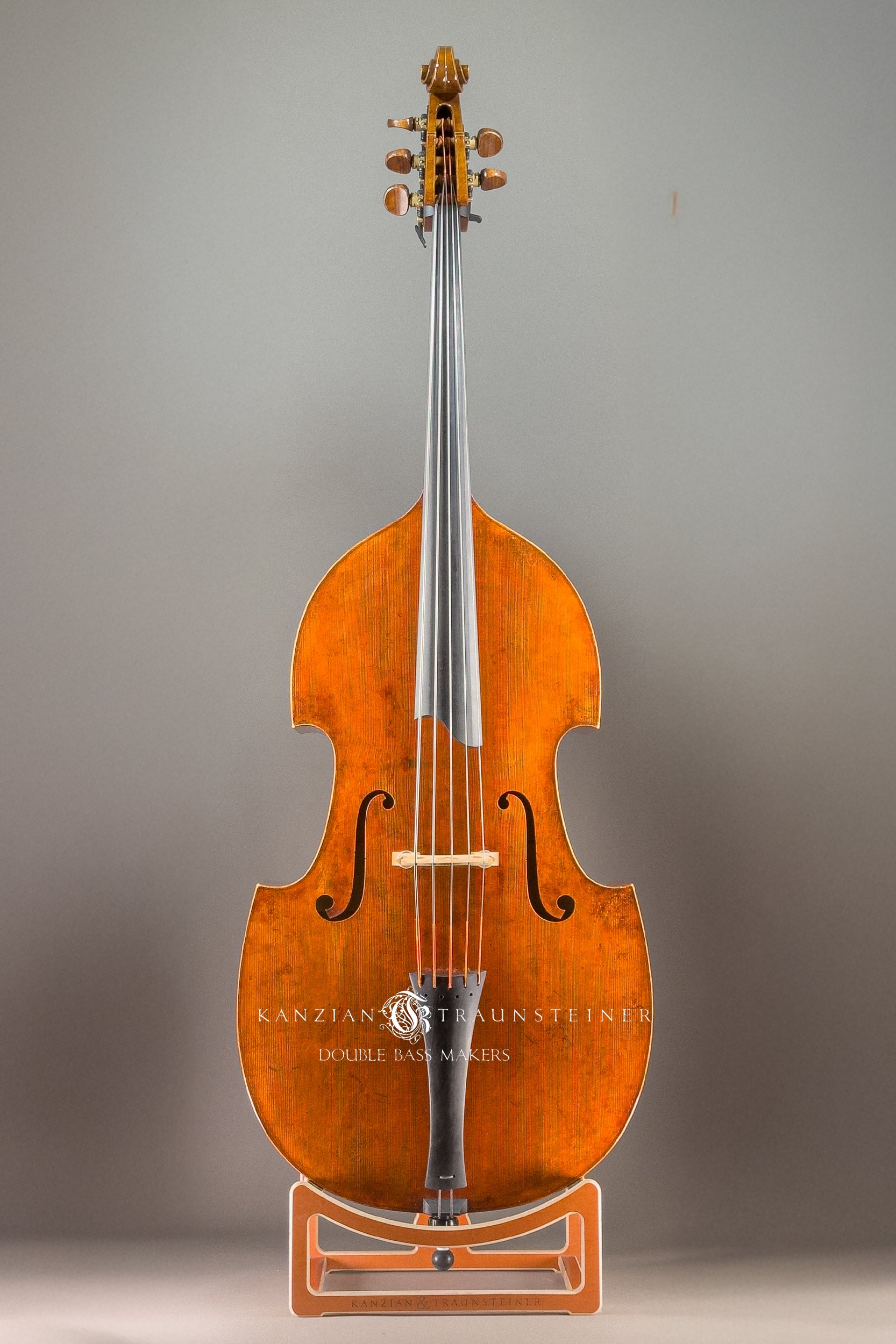 K&T Viennese Model 5-strings, 2021, front view