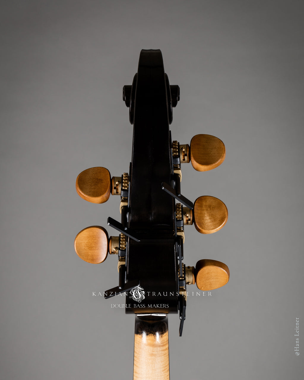 Back view of scroll for 2017 Kanzian & Traunsteiner Black Viennese Model 