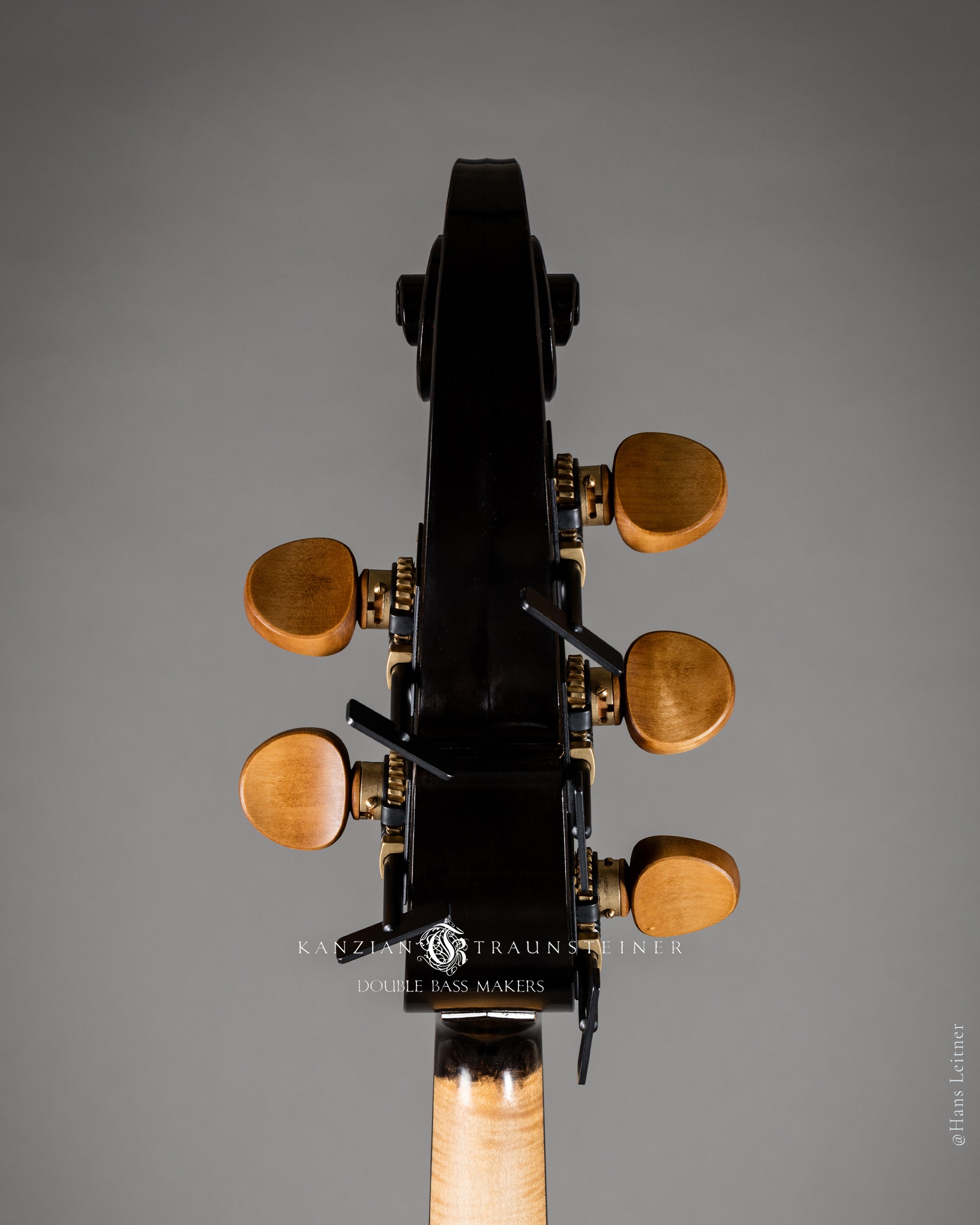 Back view of scroll for 2017 Kanzian & Traunsteiner Black Viennese Model 