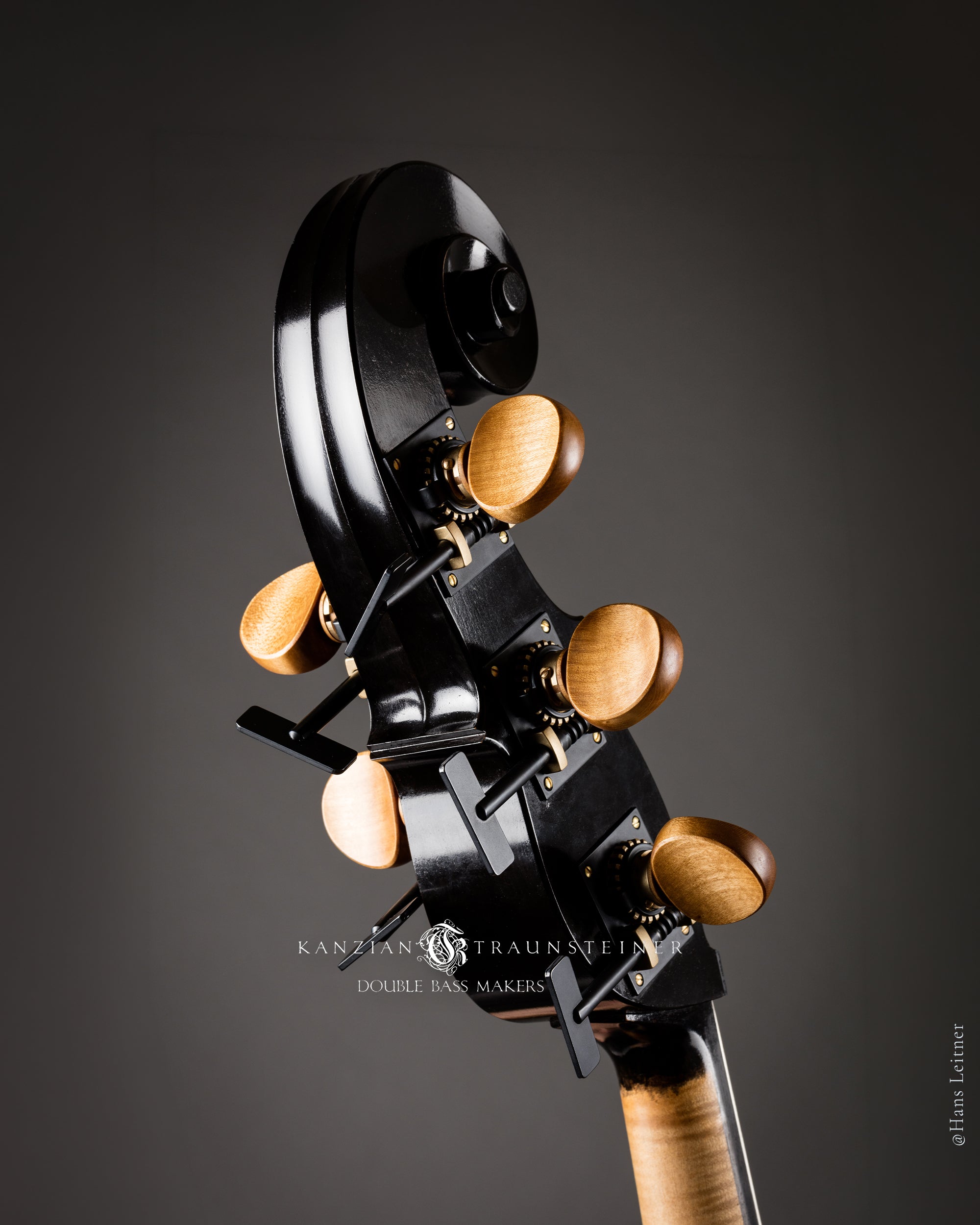 Back oblique view of 2017 Kanzian & Traunsteiner Black Double bass