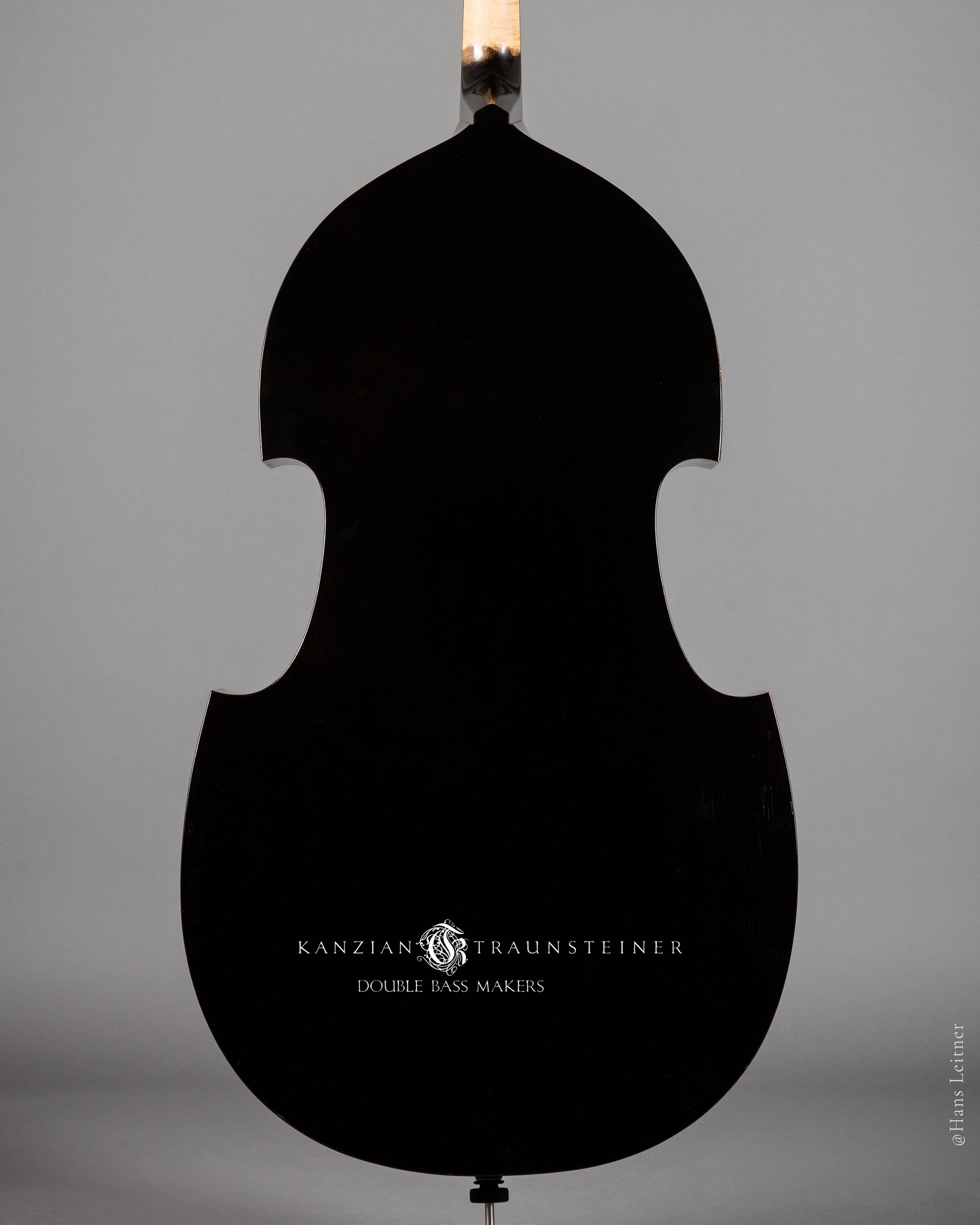 2017 Kanzian & Traunsteiner Black Viennese Model: zoomed view of back