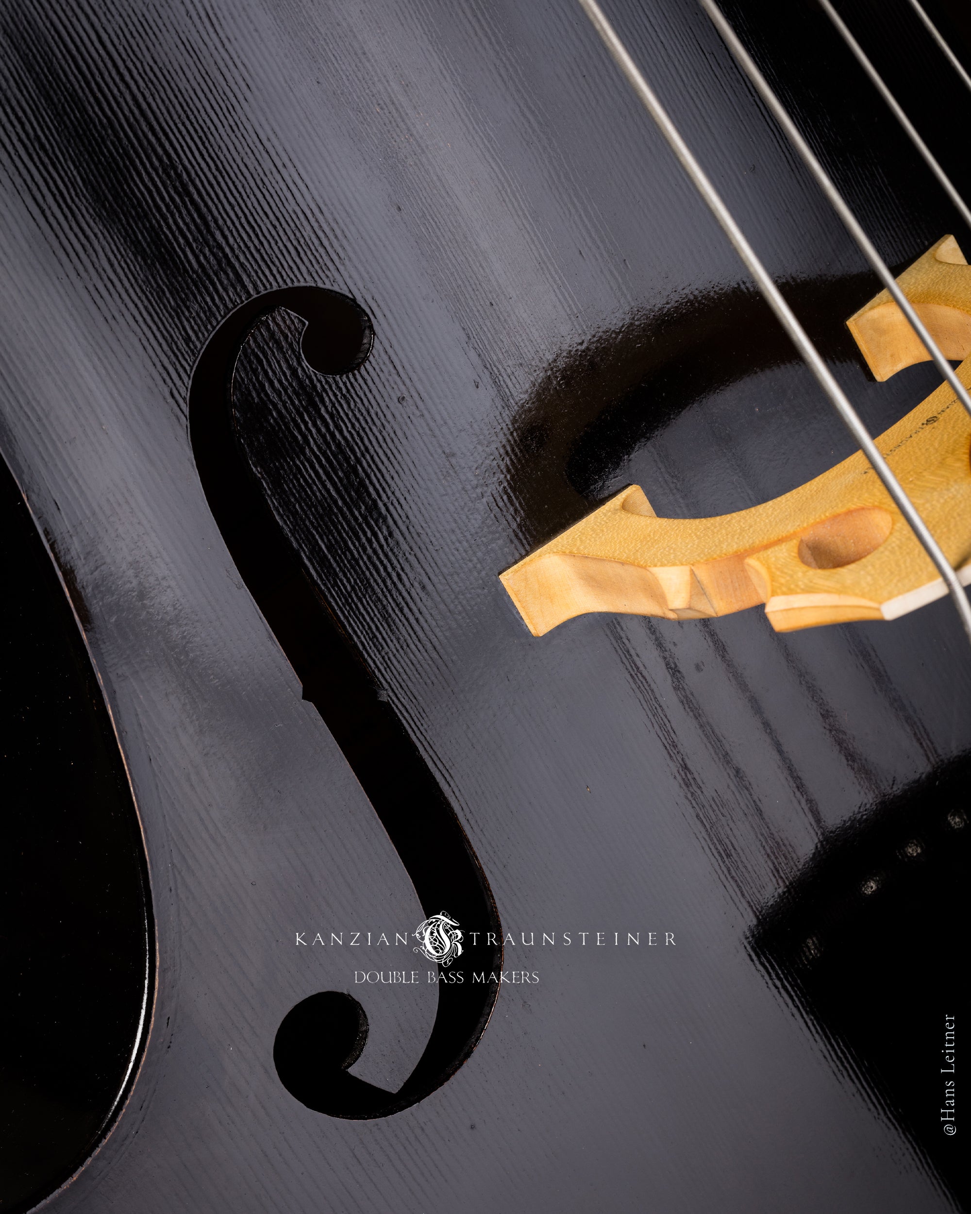 2017 Kanzian & Traunsteiner Black Viennese Model sound hole 