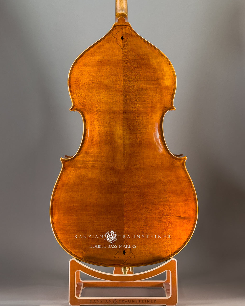 Maggini Model Double bass 2024 - Back Zoomed