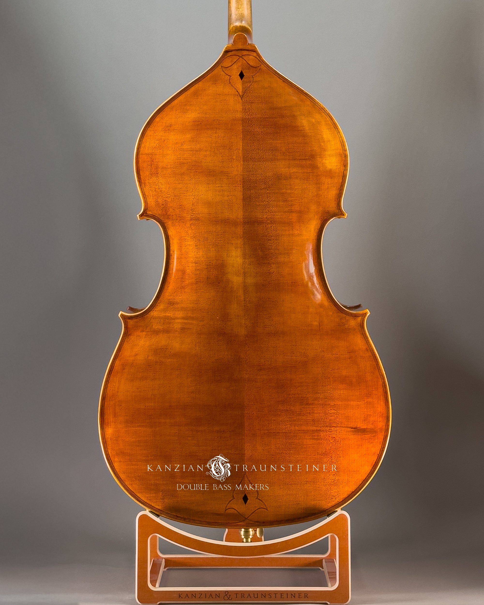 Maggini Model Double bass 2024 - Back Zoomed