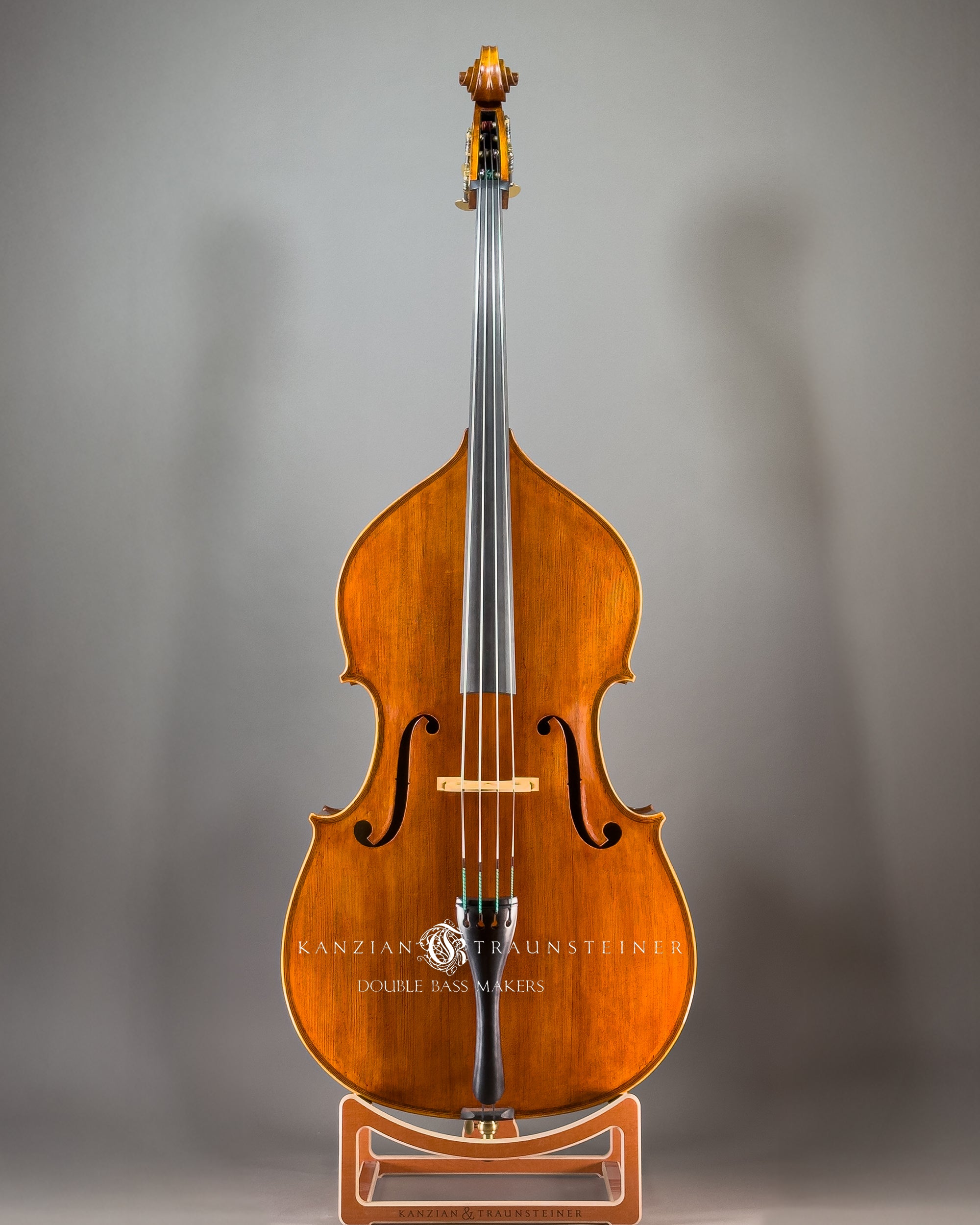 Maggini Model Double bass 2024 - Front