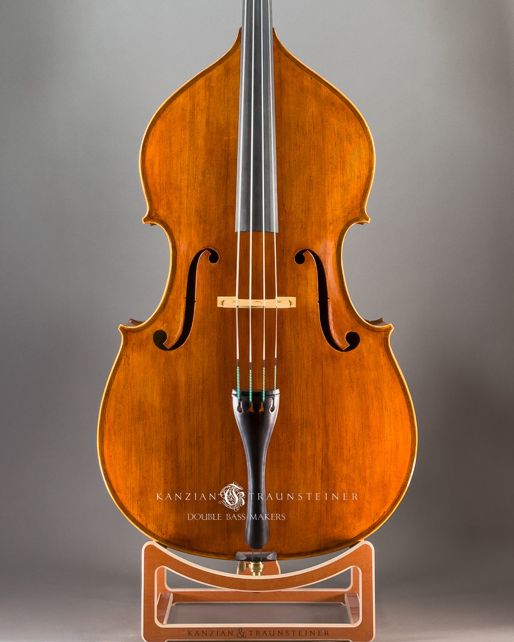 Maggini Model Double bass 2024 - Front Zoomed