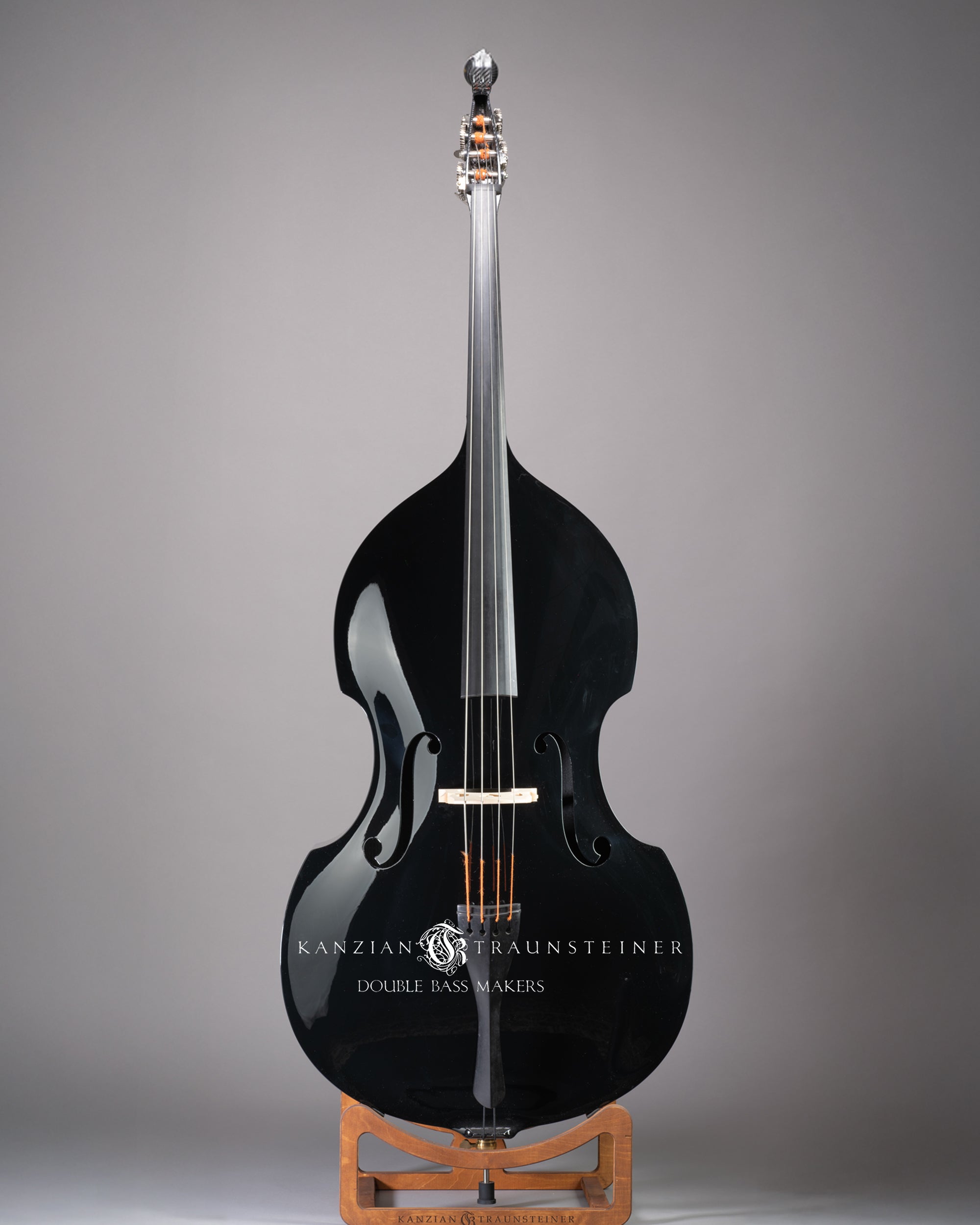 Ricci Carbon Fiber Double bass - Front