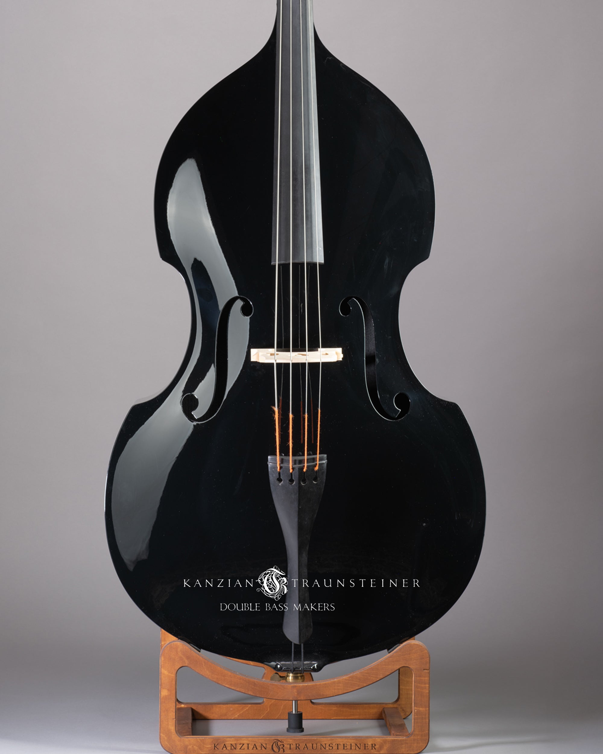 Ricci Carbon Fiber Double bass - Front Zoomed