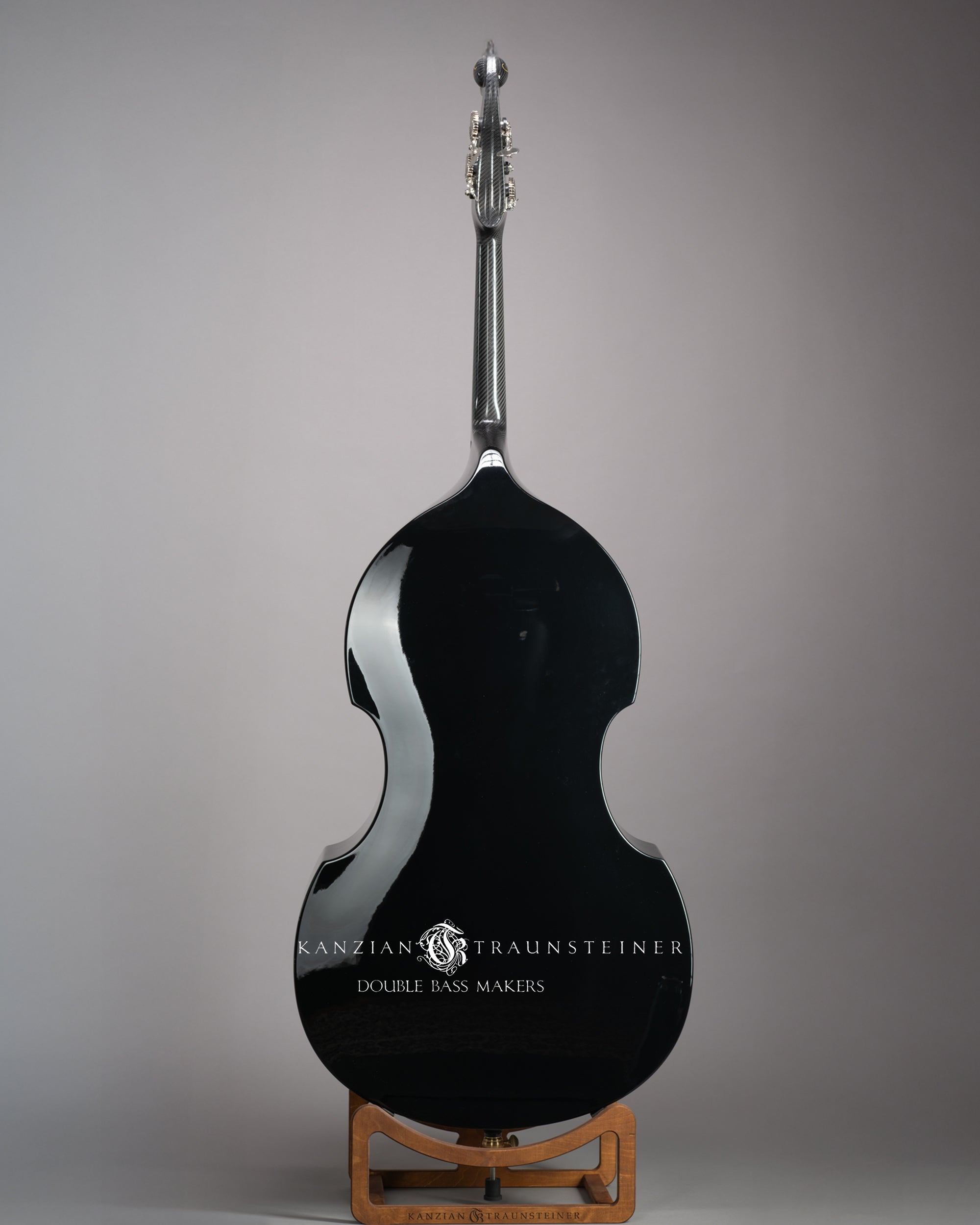 Ricci Carbon Fiber Double bass - Back