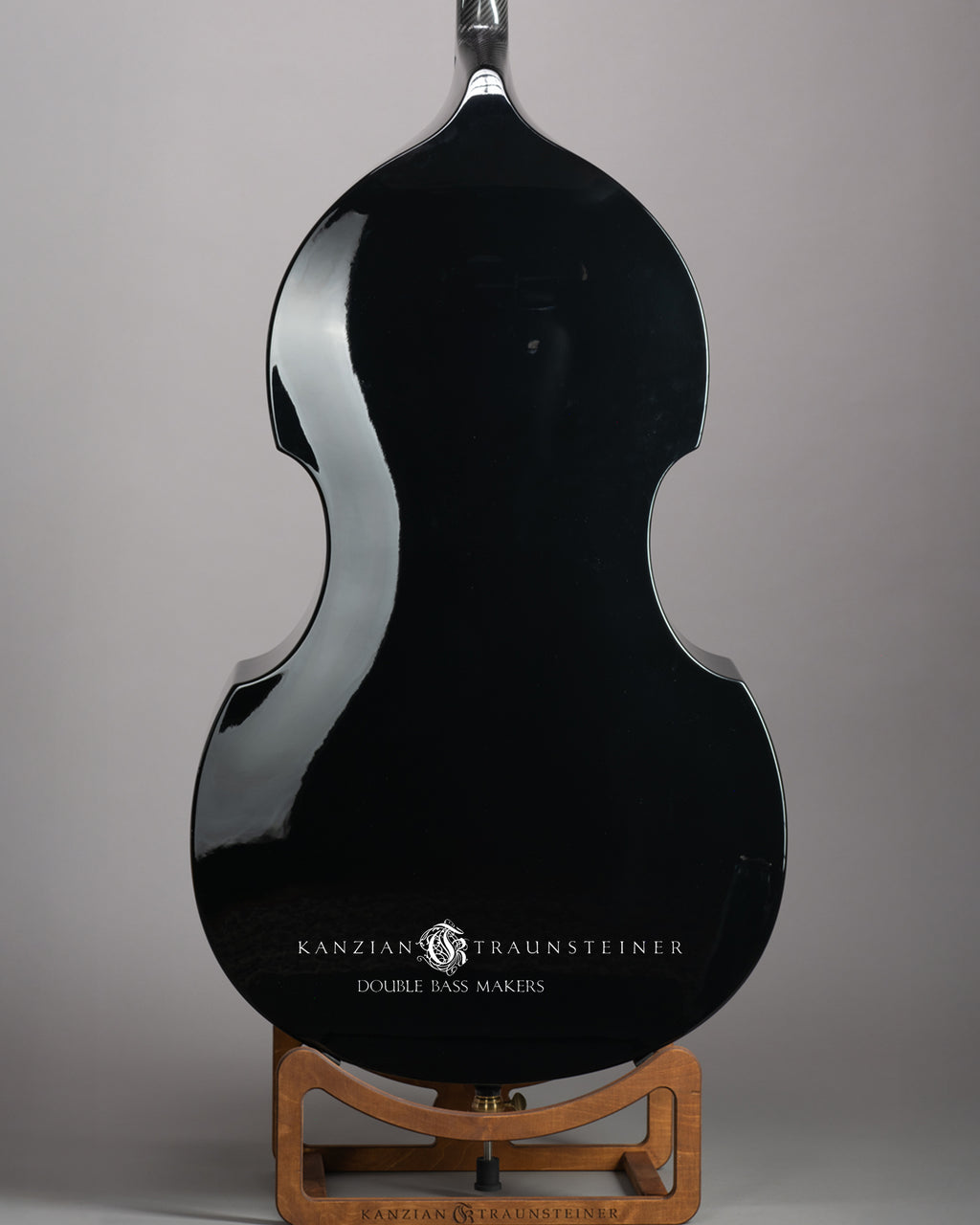 Ricci Carbon Fiber Double bass - Back Zoomed