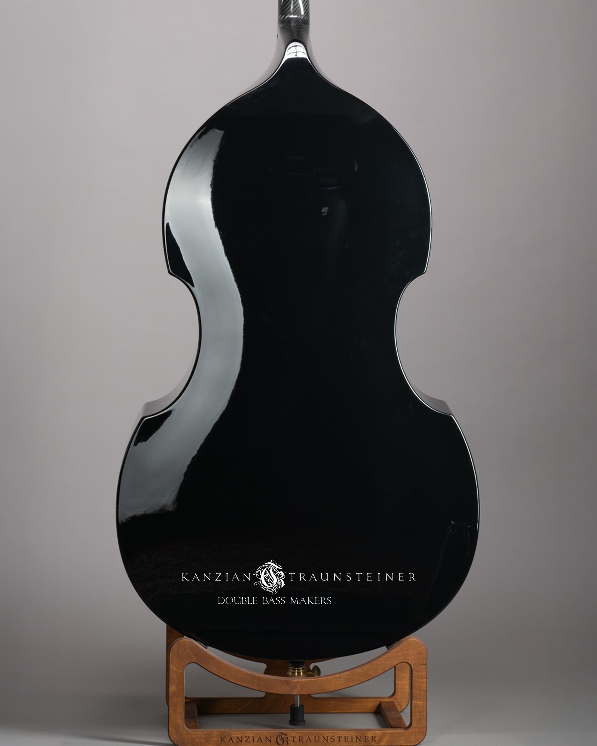 Ricci Carbon Fiber Double bass - Back Zoomed