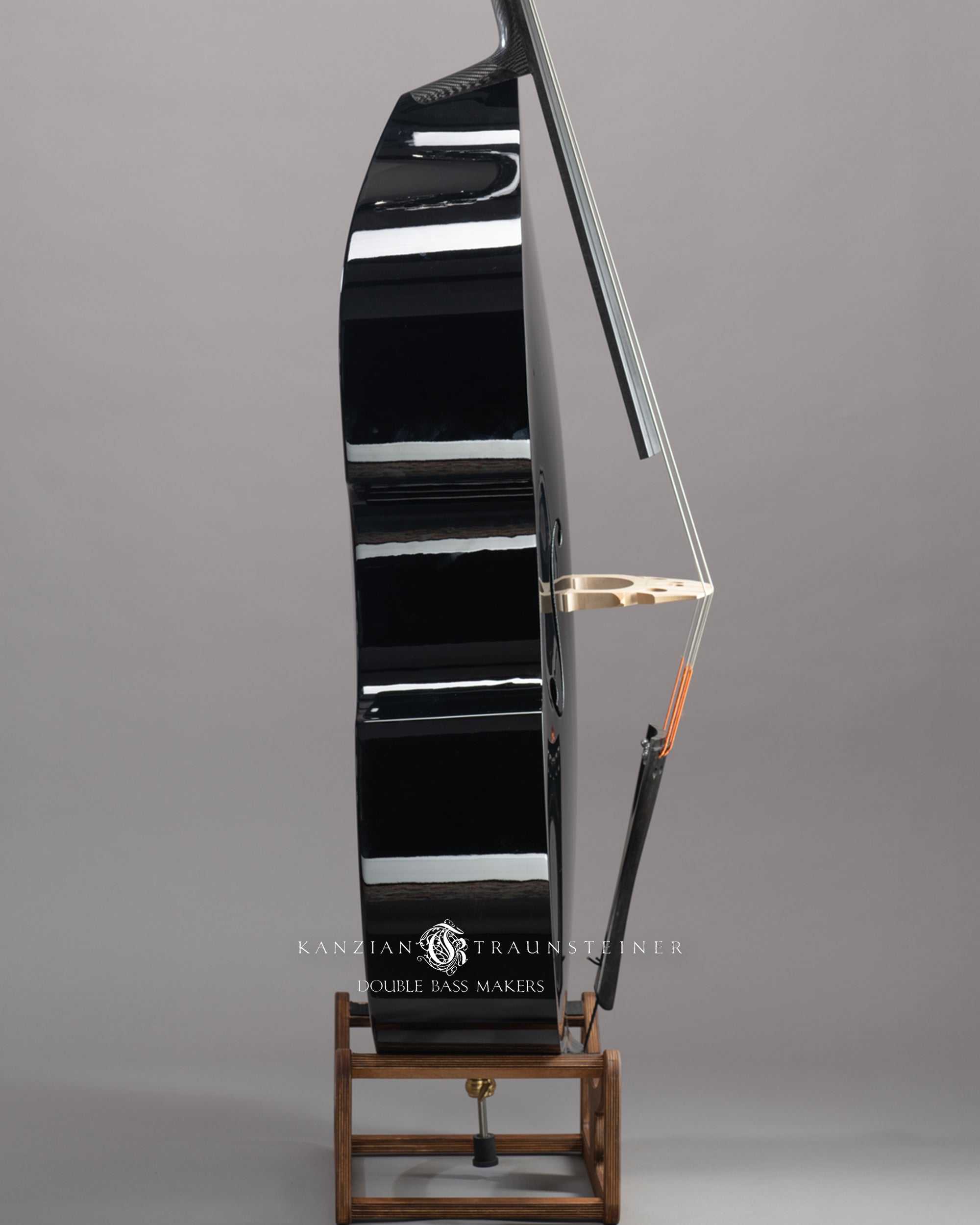 Ricci Carbon Fiber Double bass - Right Zoomed