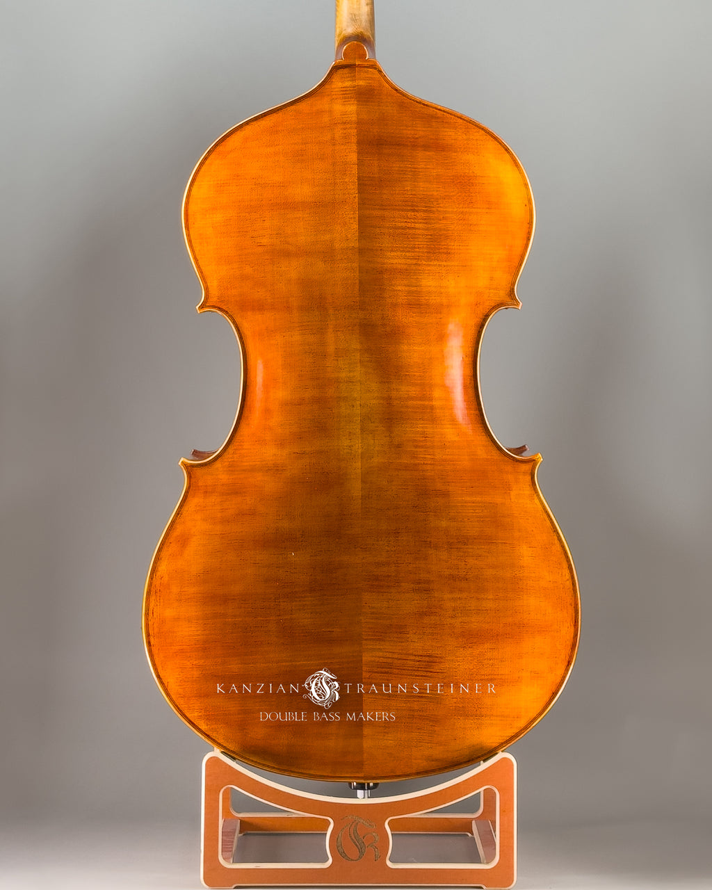 Panormo Model Double bass 2024 - Back Zoomed