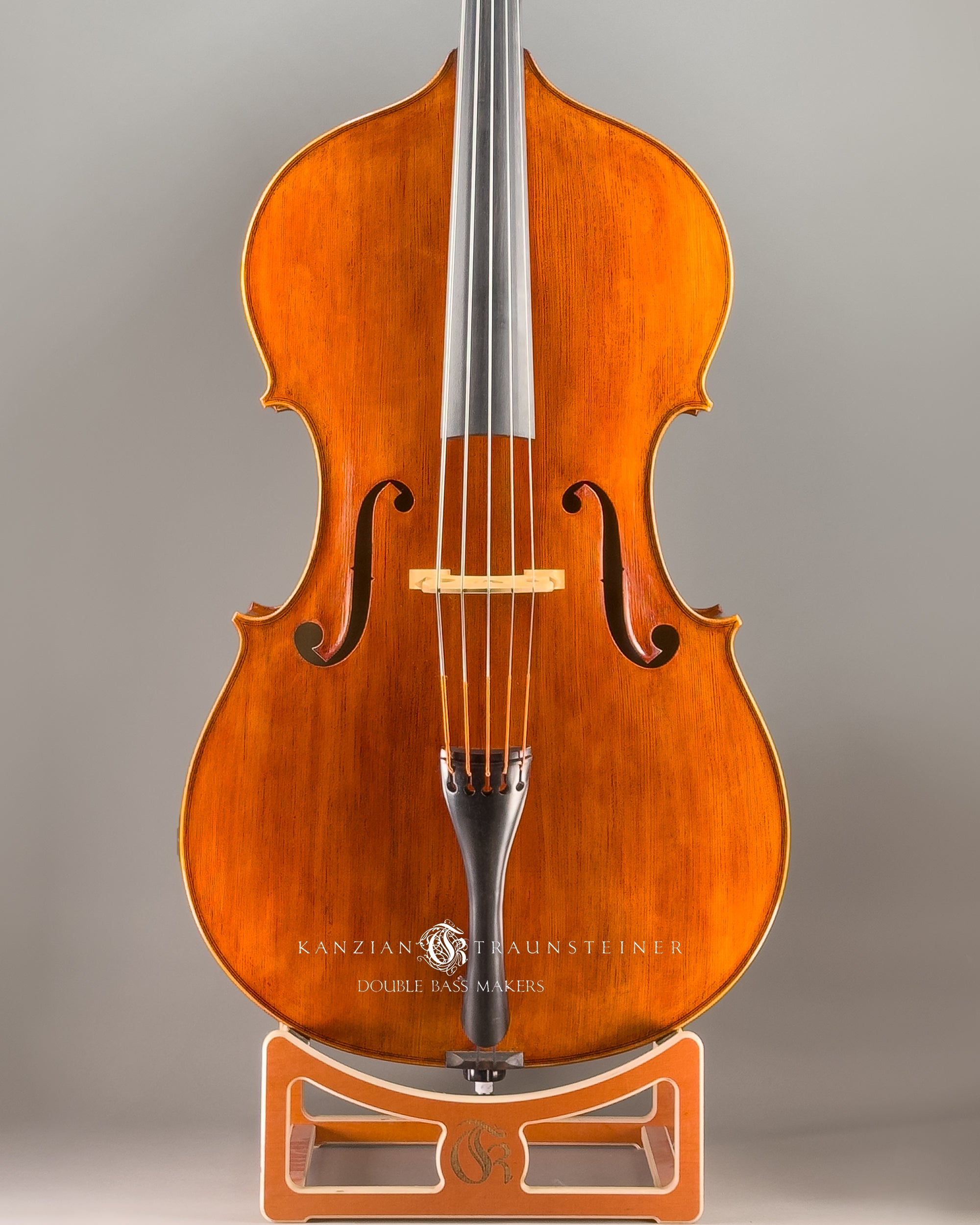 Panormo Model Double bass 2024 - Font Zoomed