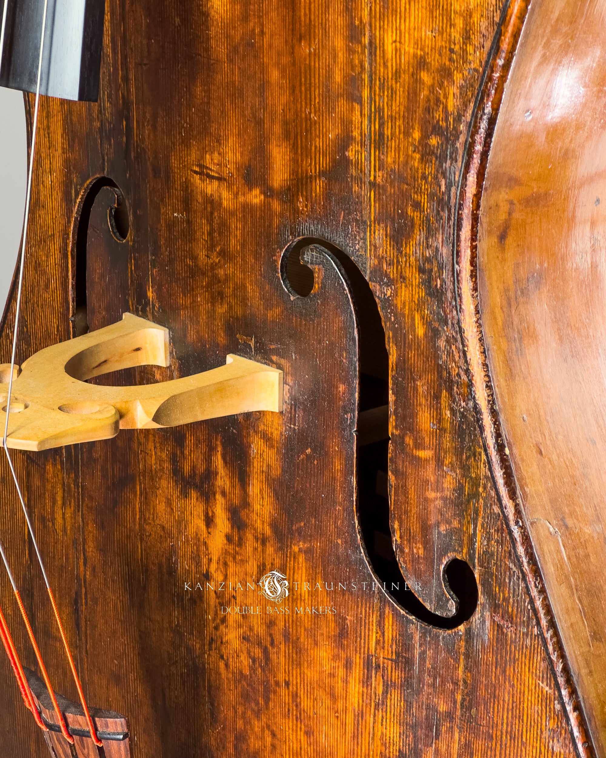 Pear shaped Italian Double bass labeled Rotella front detail