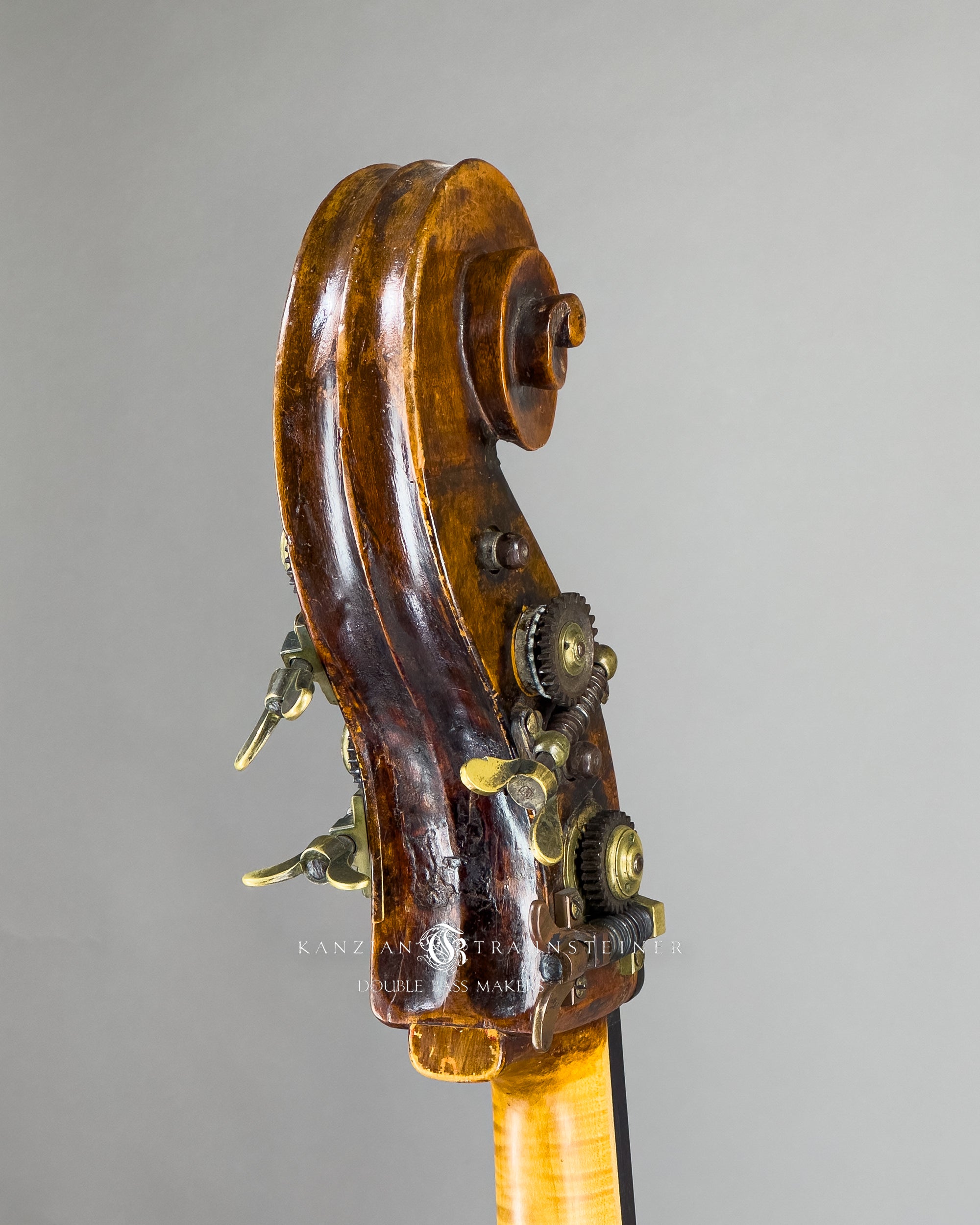 Oblique back view of Pear shaped Italian Double bass labeled Rotella