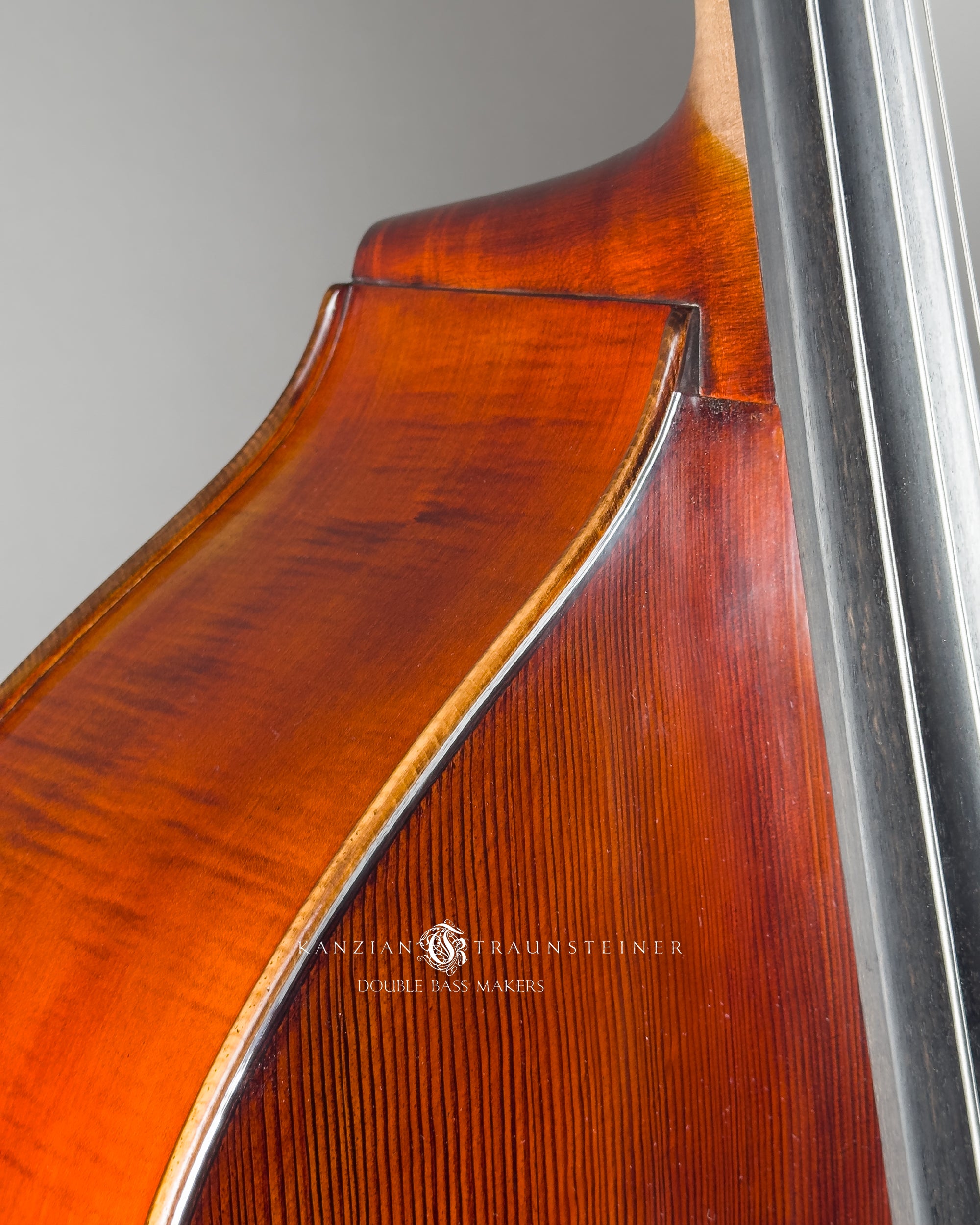 side view of neck insert for Rubner Werkstätten Bass