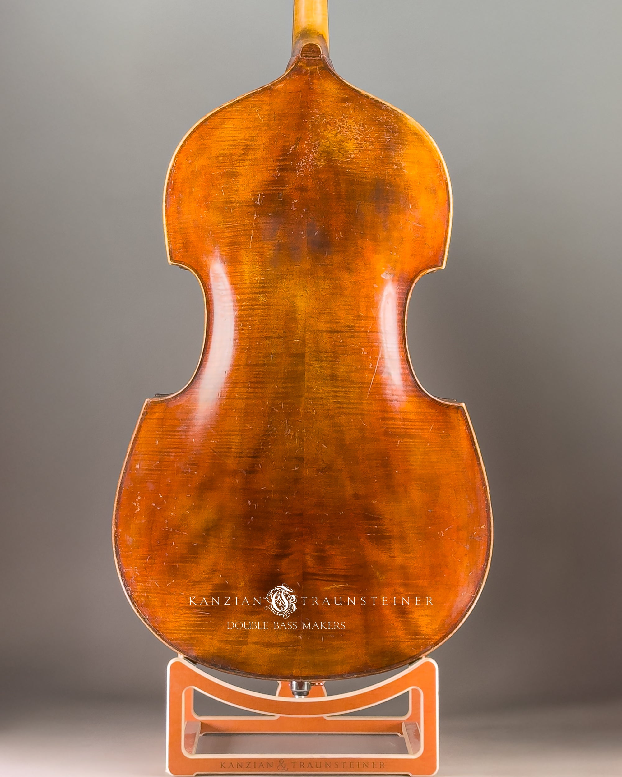 Rubner 5-Strings double bass view from back zoomed