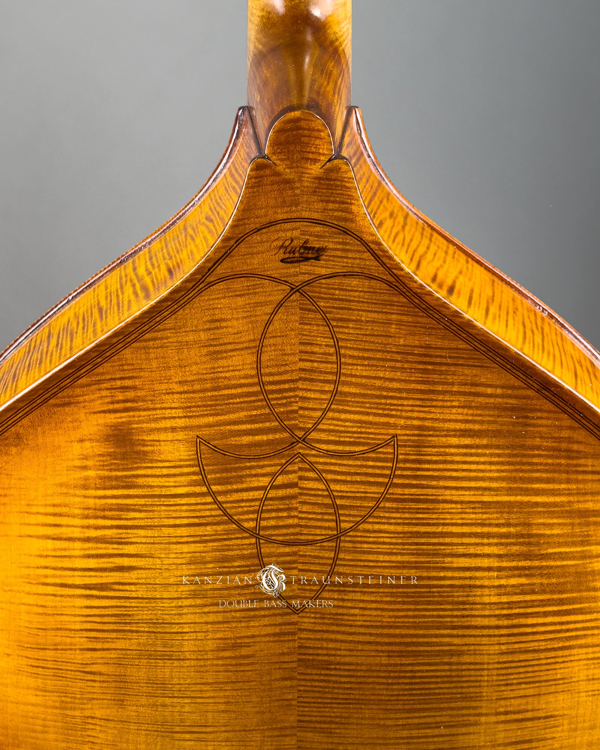 Master Johannes Rubner Solobass ¾ - Back top detail