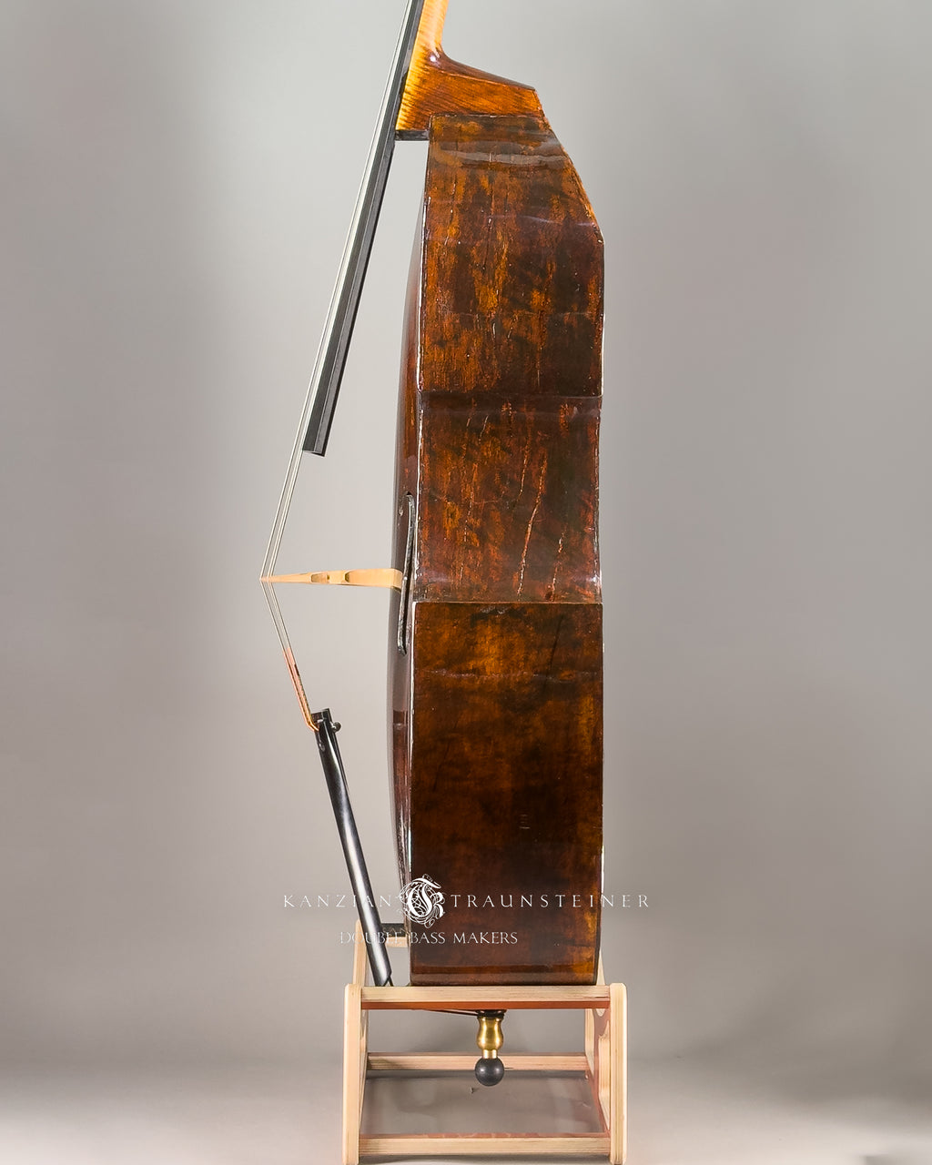 Stadlmann Double Bass view of Left ribs