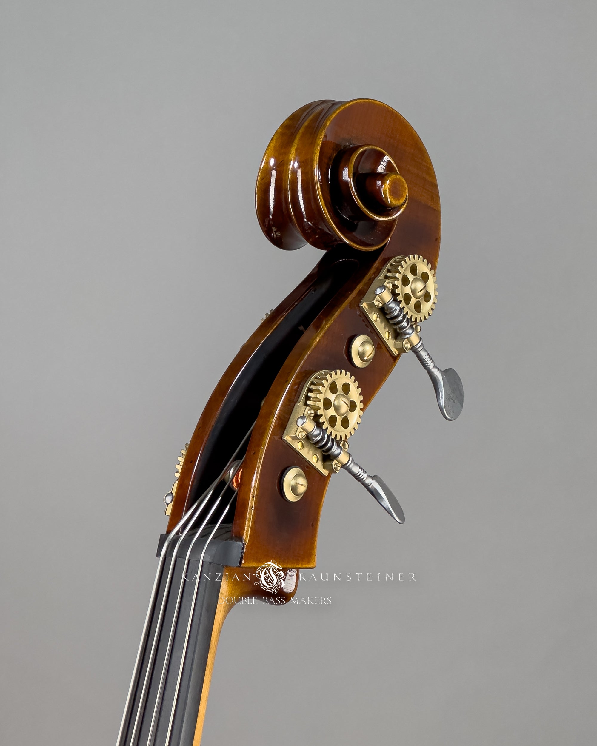 Björn Stoll Valencia 3/4 String Double bass 2024 - Scroll Oblique