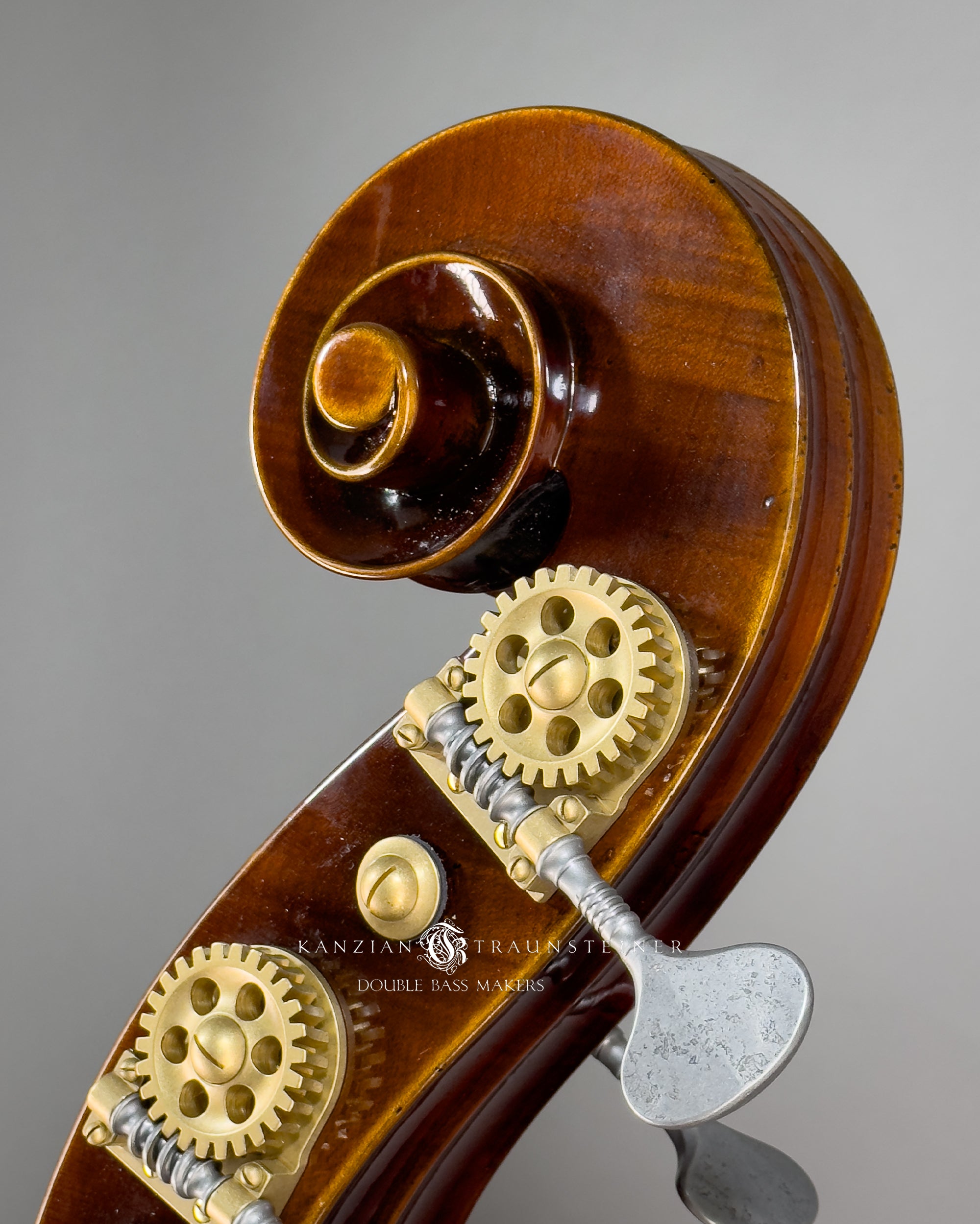 Björn Stoll Valencia 3/4 String Double bass 2024 - Scroll Zoomed