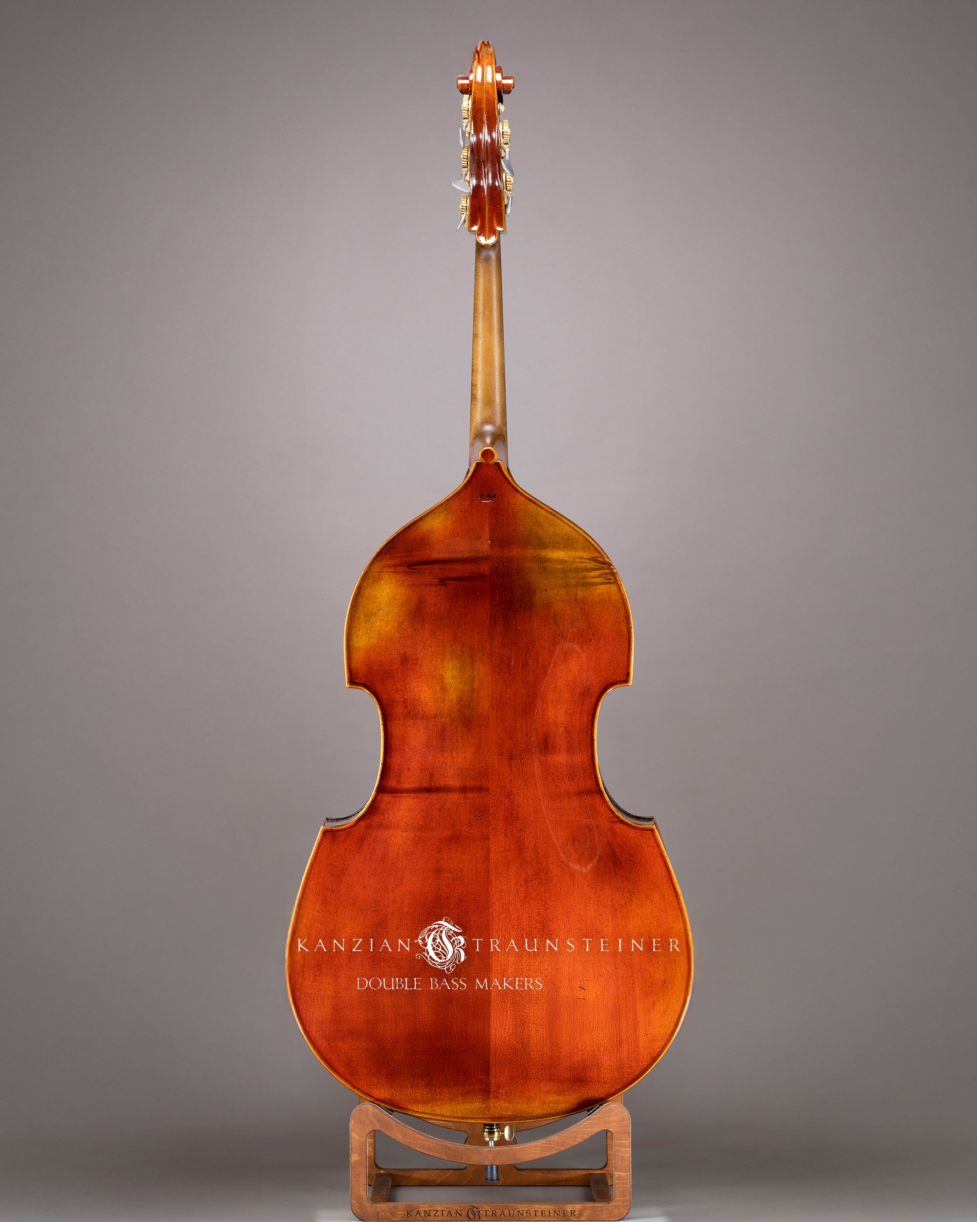Björn Stoll Milano 5 String Double bass 2024 - Back