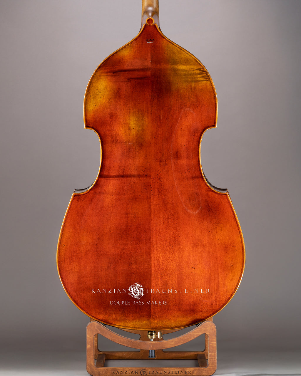 Björn Stoll Milano 5 String Double bass 2024 - Back Zoomed