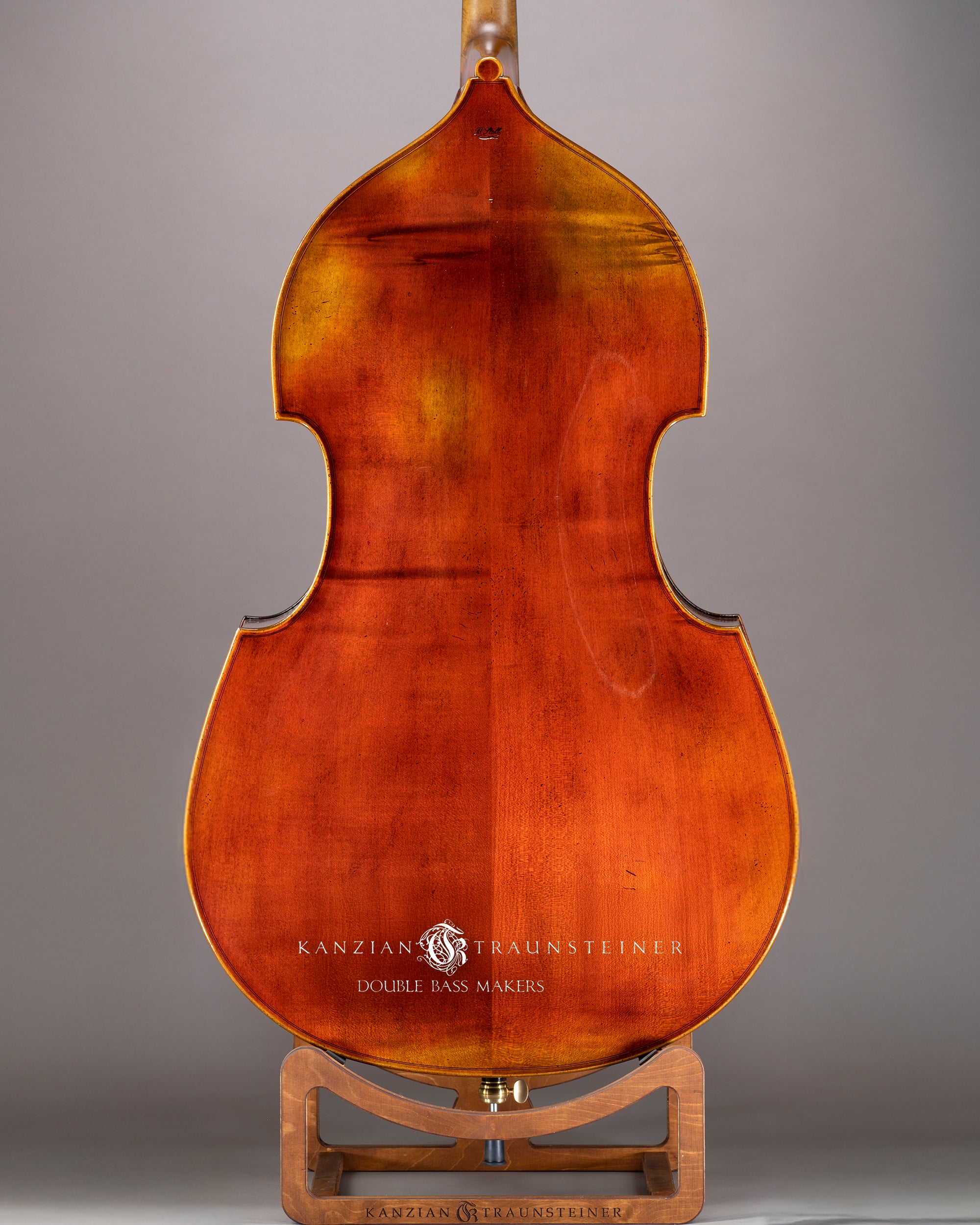 Björn Stoll Milano 5 String Double bass 2024 - Back Zoomed
