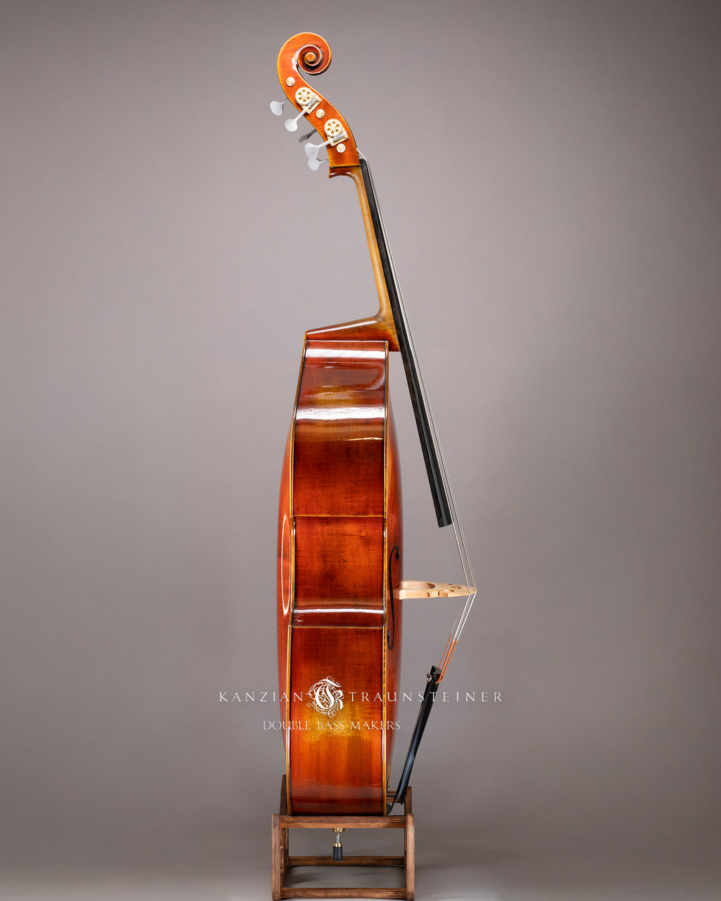 Björn Stoll Milano 5 String Double bass 2024 - Right