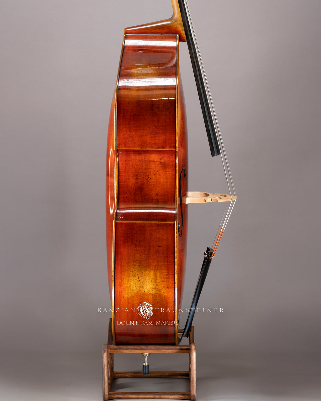 Björn Stoll Milano 5 String Double bass 2024 - Right Zoomed