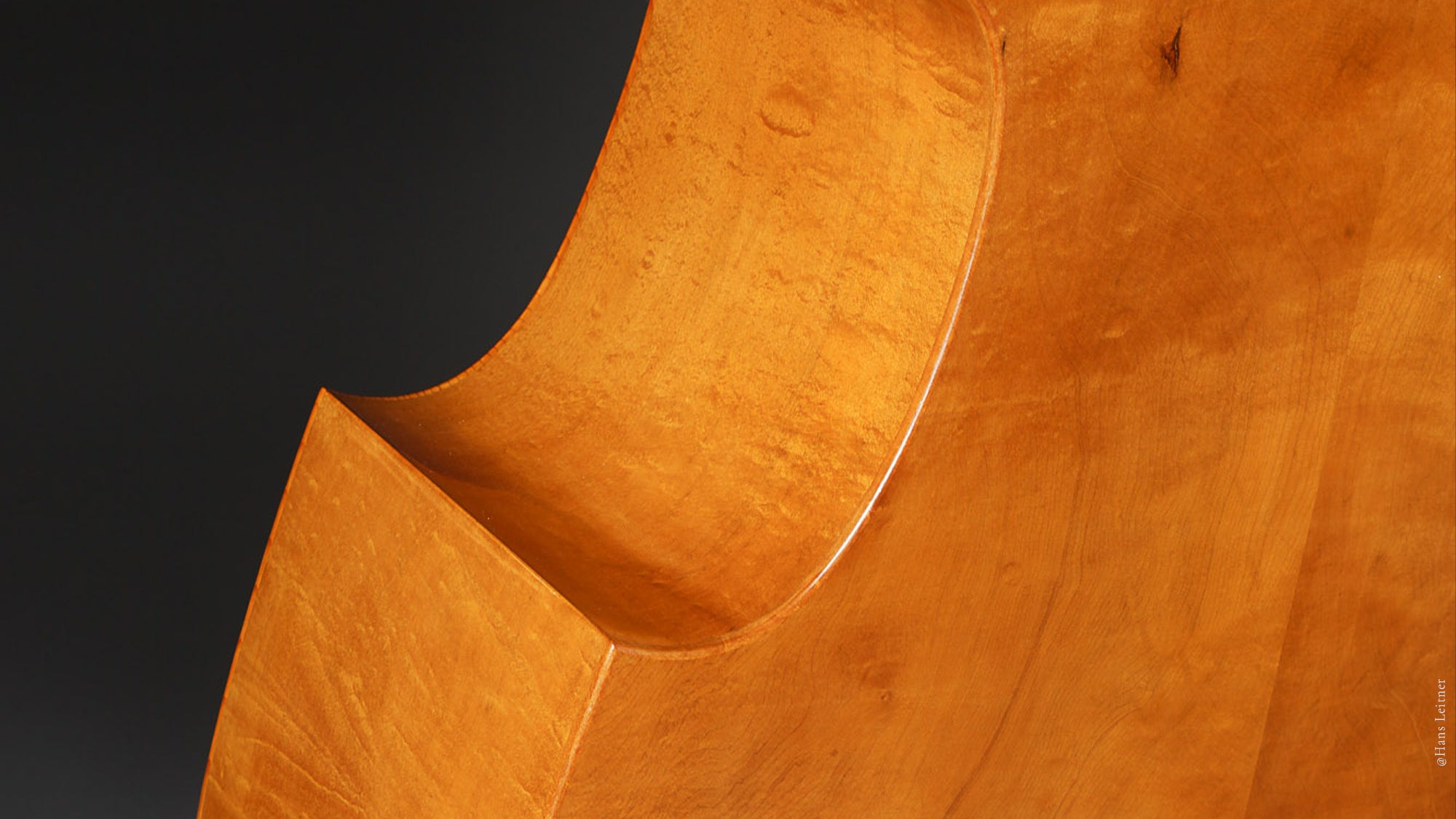 Kanzian & Traunsteiner gold model wood close up