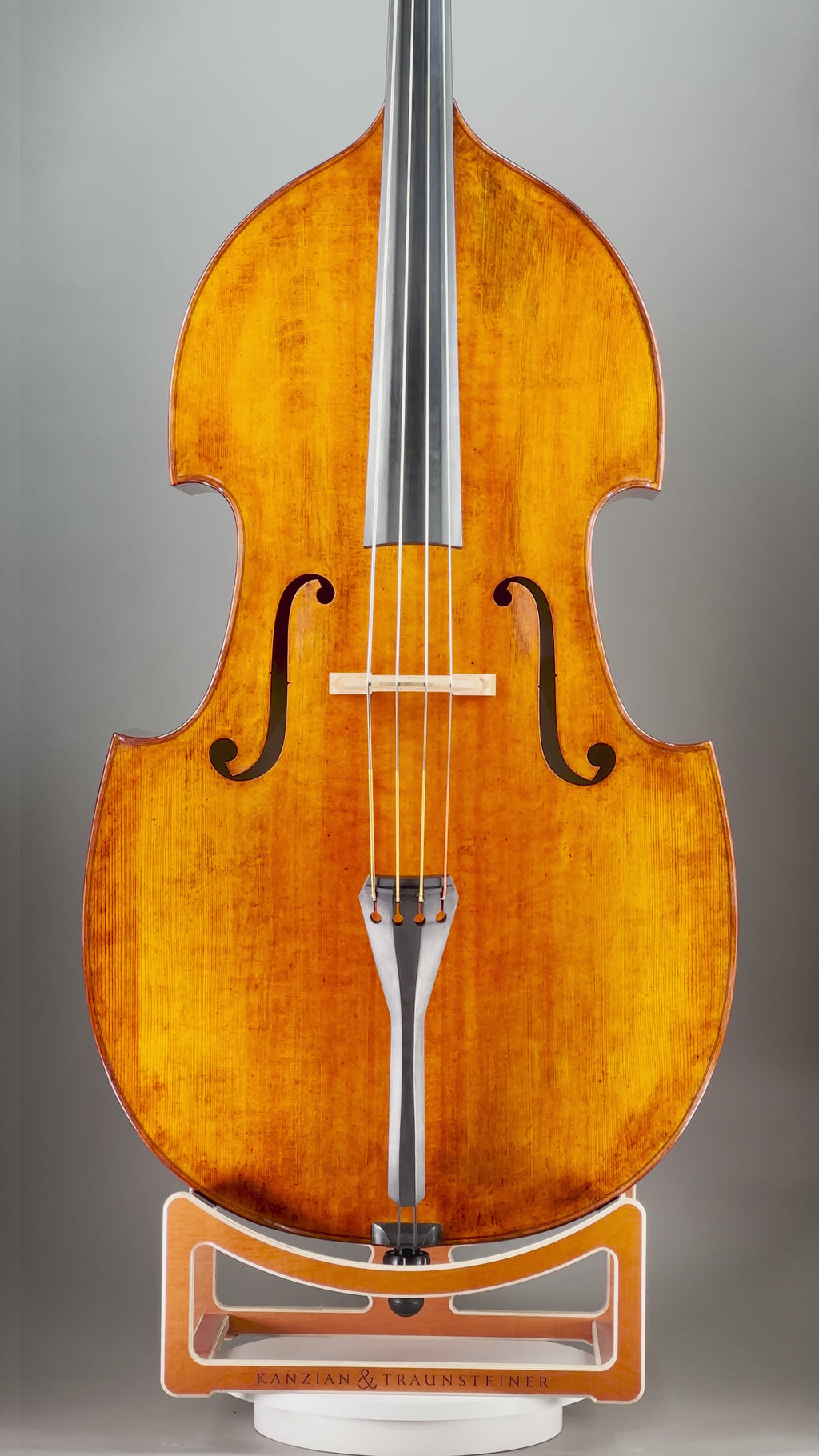 Kanzian & Traunsteiner 360 view video for 2025 double bass